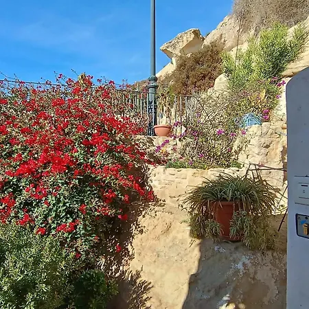 Comfortable House With Sea View In + Garden Holiday home